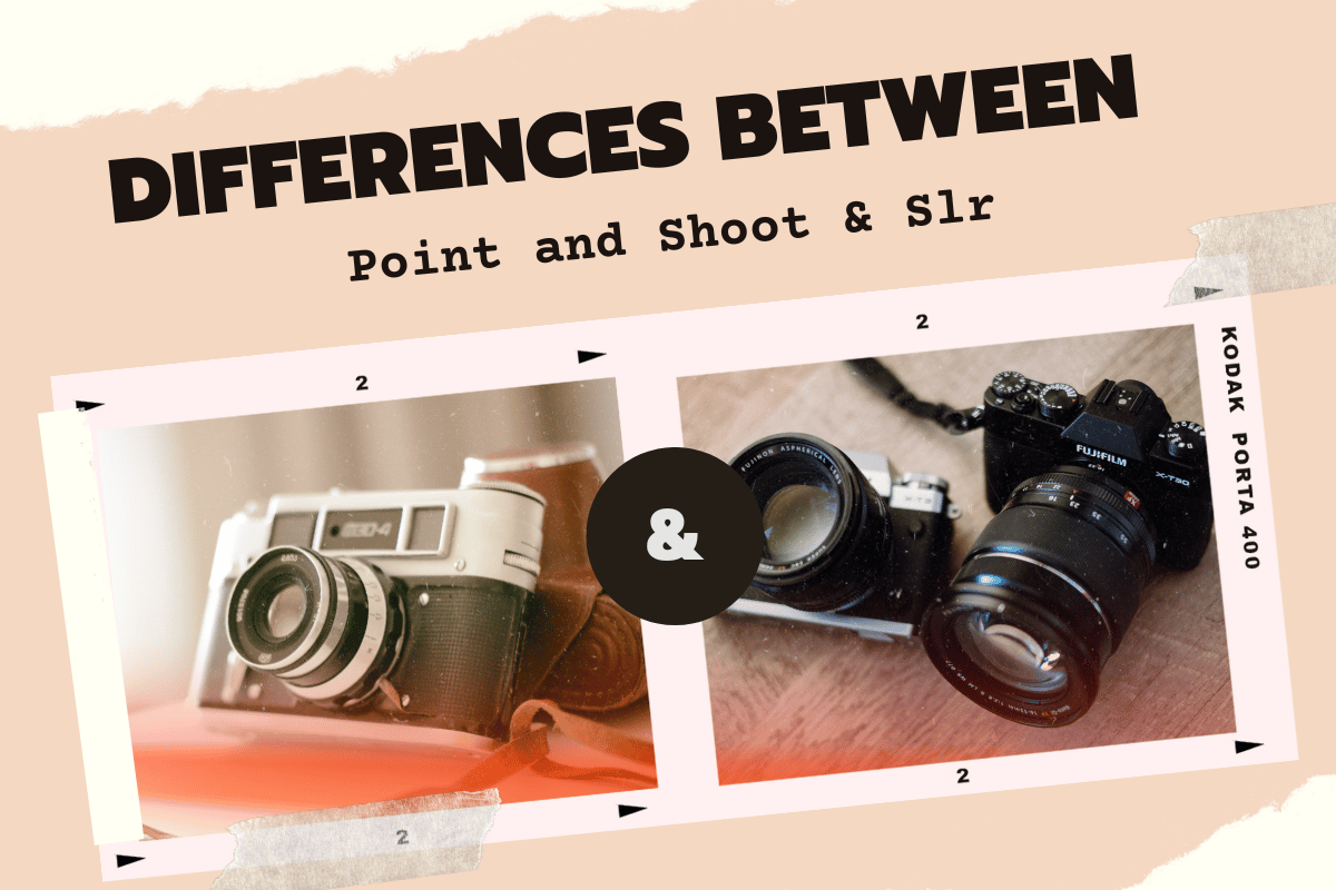 Between Point and Shoot & Slr You Should Know