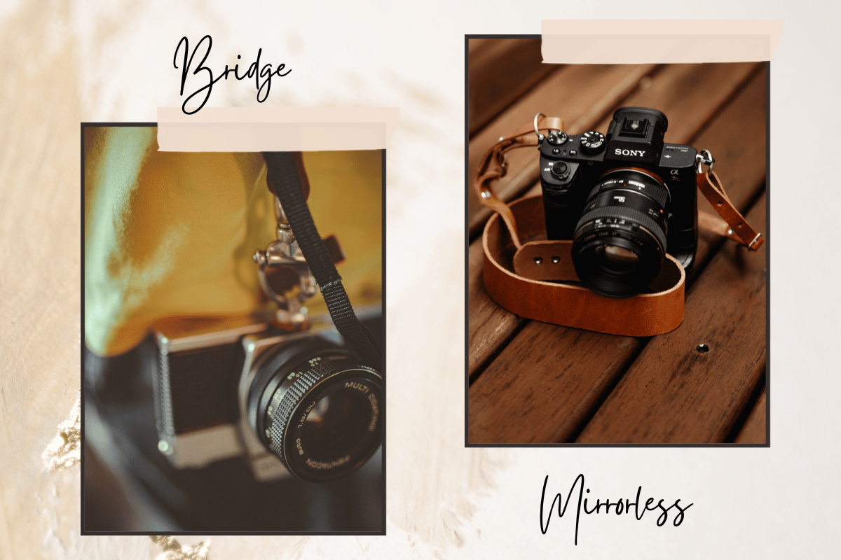 Bridge vs Mirrorless Cameras