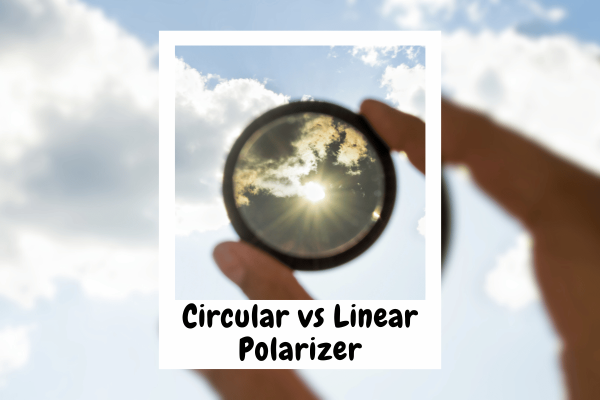 Circular vs Linear Polarizers