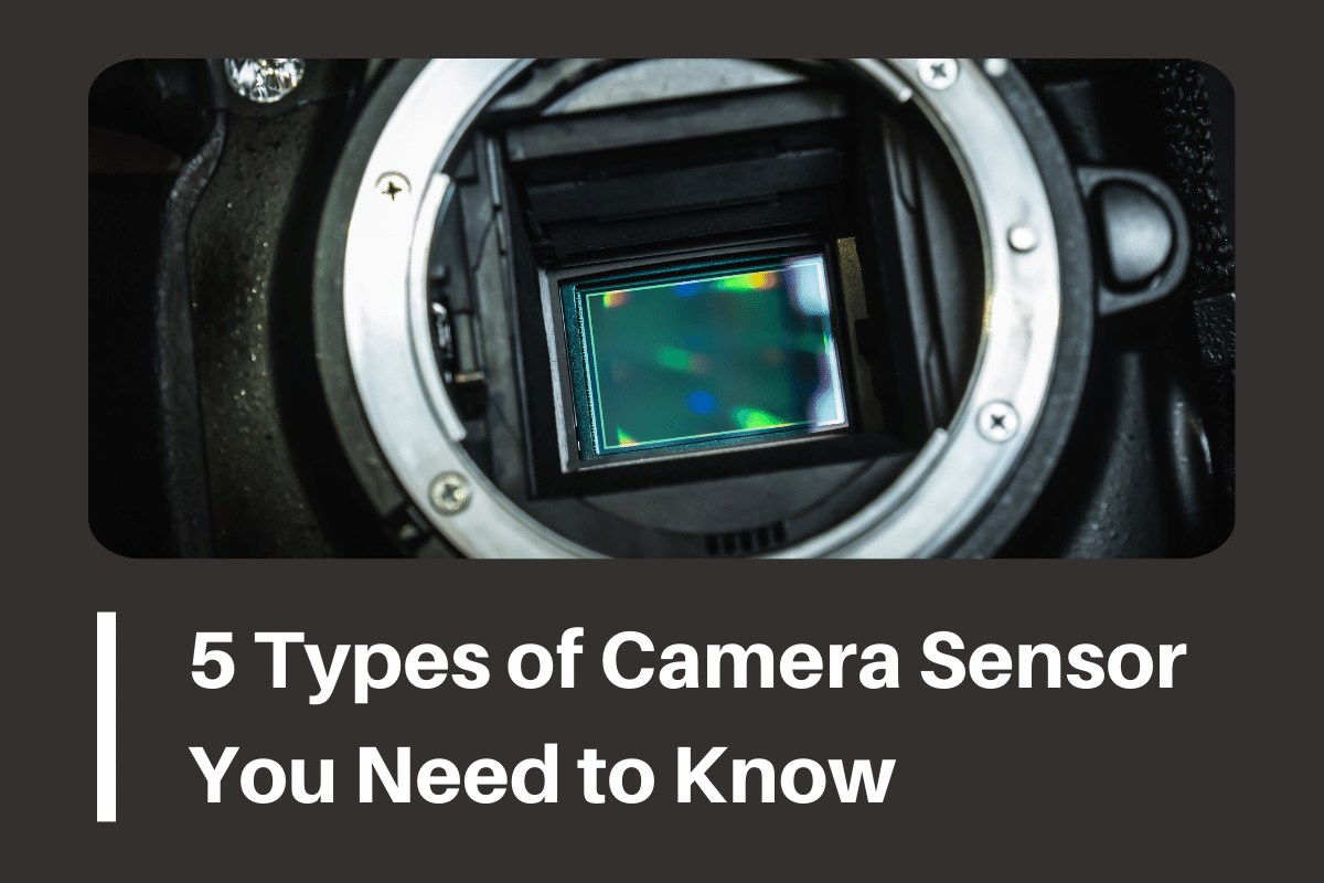 5 Types of Camera Sensor You Need to Know